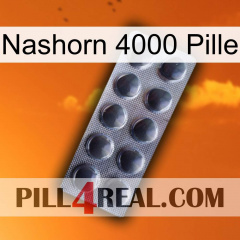 Rhino 4000 Pill 30